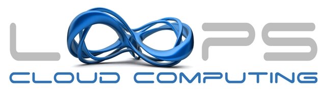 logo loops 640x480